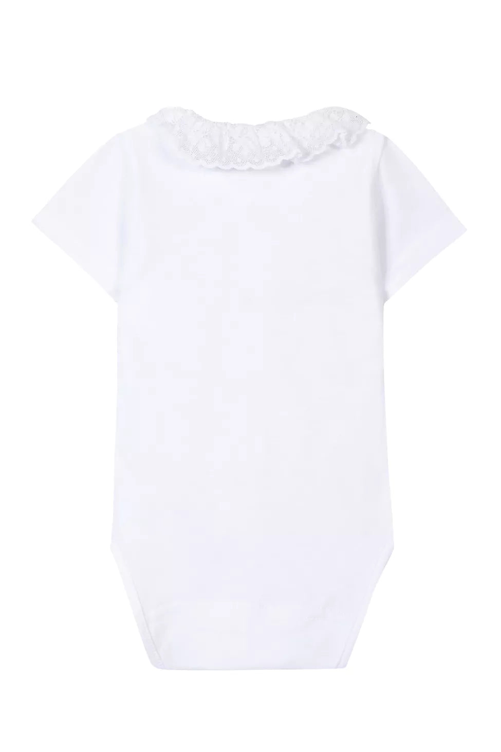 T&C BODY WITH COLLAR