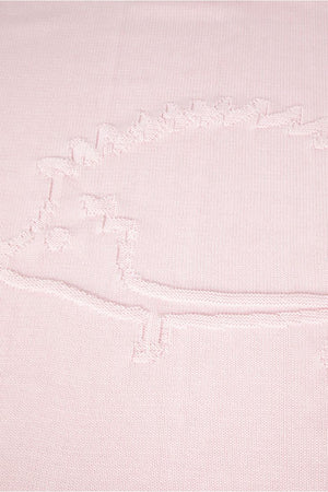 Pink tartine et chocolat knit blanket